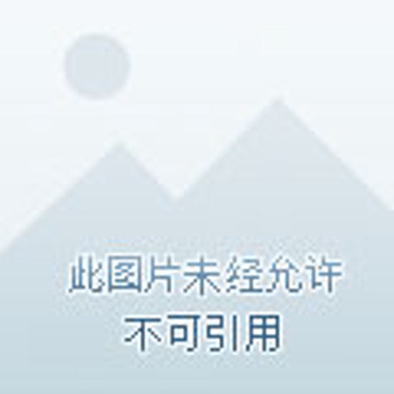 澜祟网络技术：引领未来数字世界的革新力量